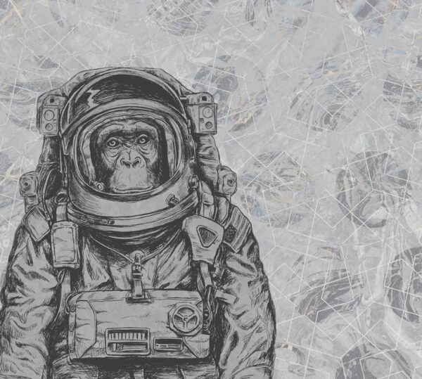 Fotobehang Space Monkey 014214