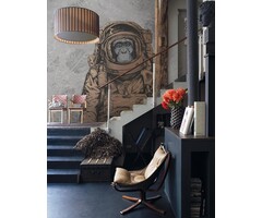 Fotobehang Space Monkey 014213