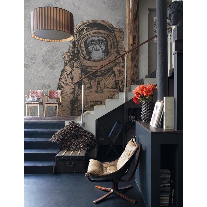 Fotobehang Space Monkey 014213