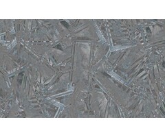 Fotobehang Allure 014343