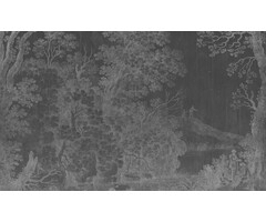 Fotobehang Woodlands 014175