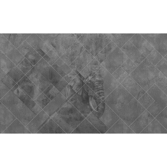 Fotobehang Africa 014158