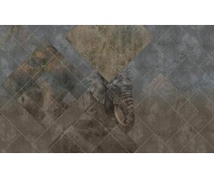 Fotobehang Africa 014156