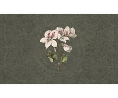 Fotobehang Daydreams 014279