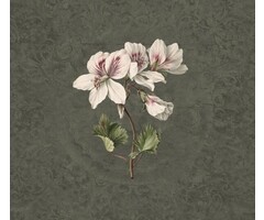 Fotobehang Daydreams 014278