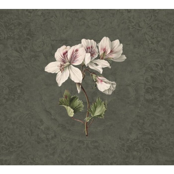 Fotobehang Daydreams 014278