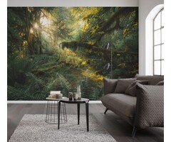 Fotobehang – Hall of Mosses