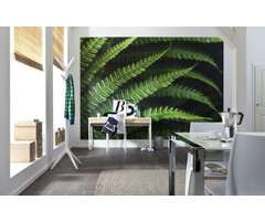 Fotobehang Farn V7-750