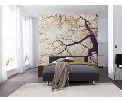 Fotobehang Sunshine V5-752