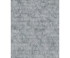 Behang met zilveren letters 6824-40