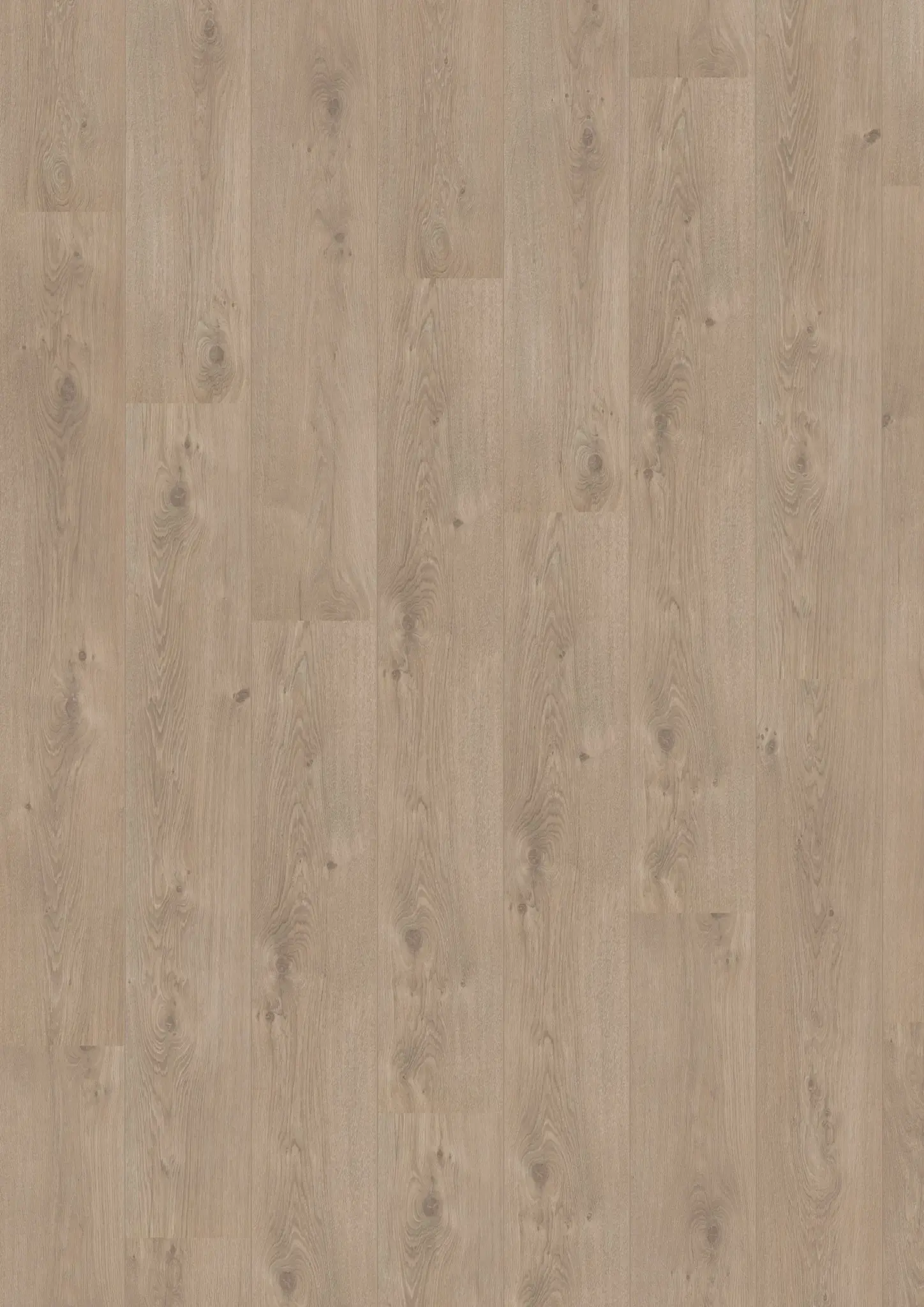 Royal V2 Puglia 4941 – Aquaprotect