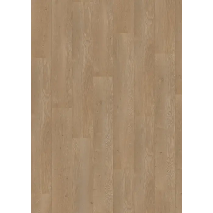 Royal V2 Lombardije 4939 – Aquaprotect