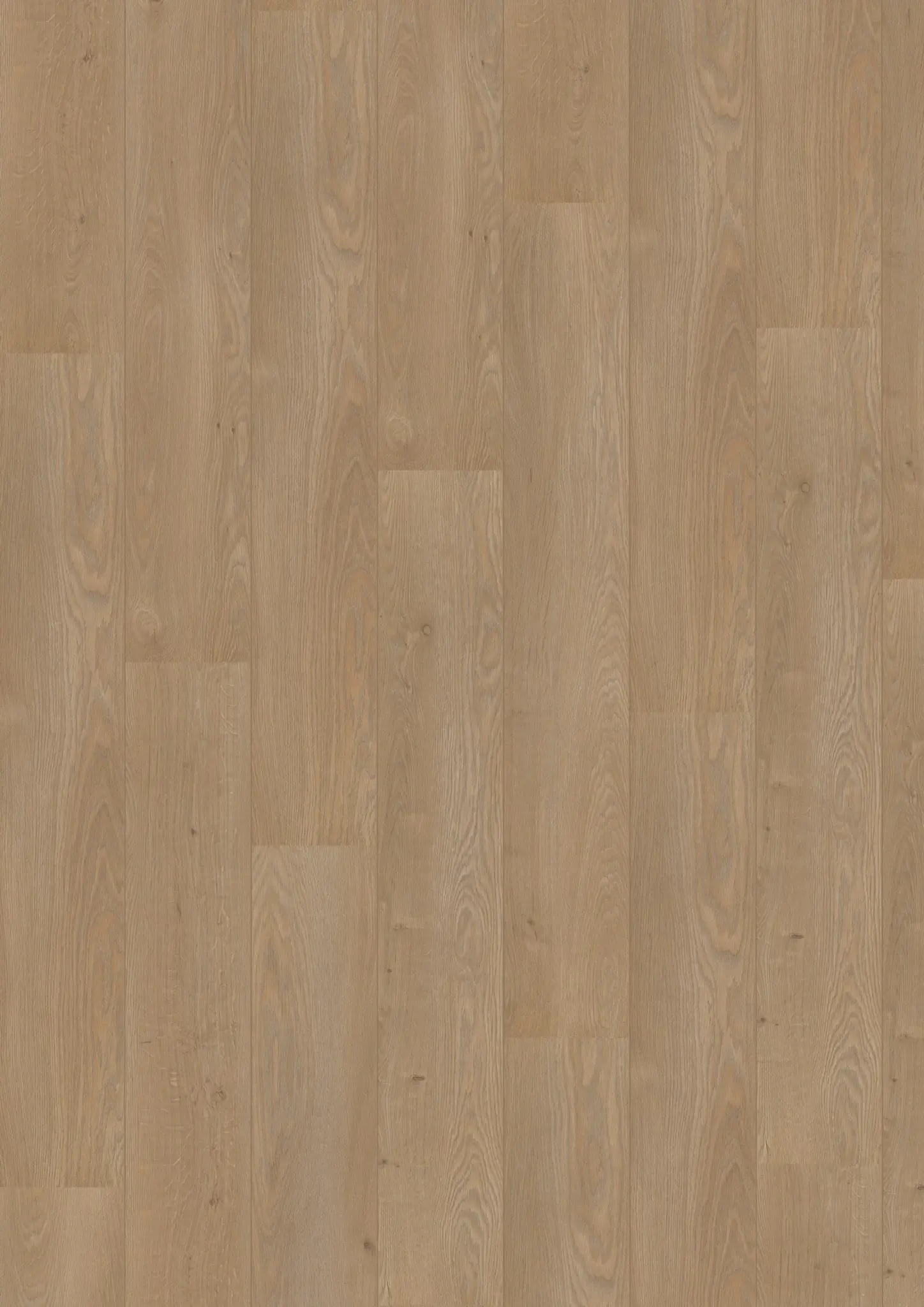 Royal V2 Lombardije 4939 – Aquaprotect