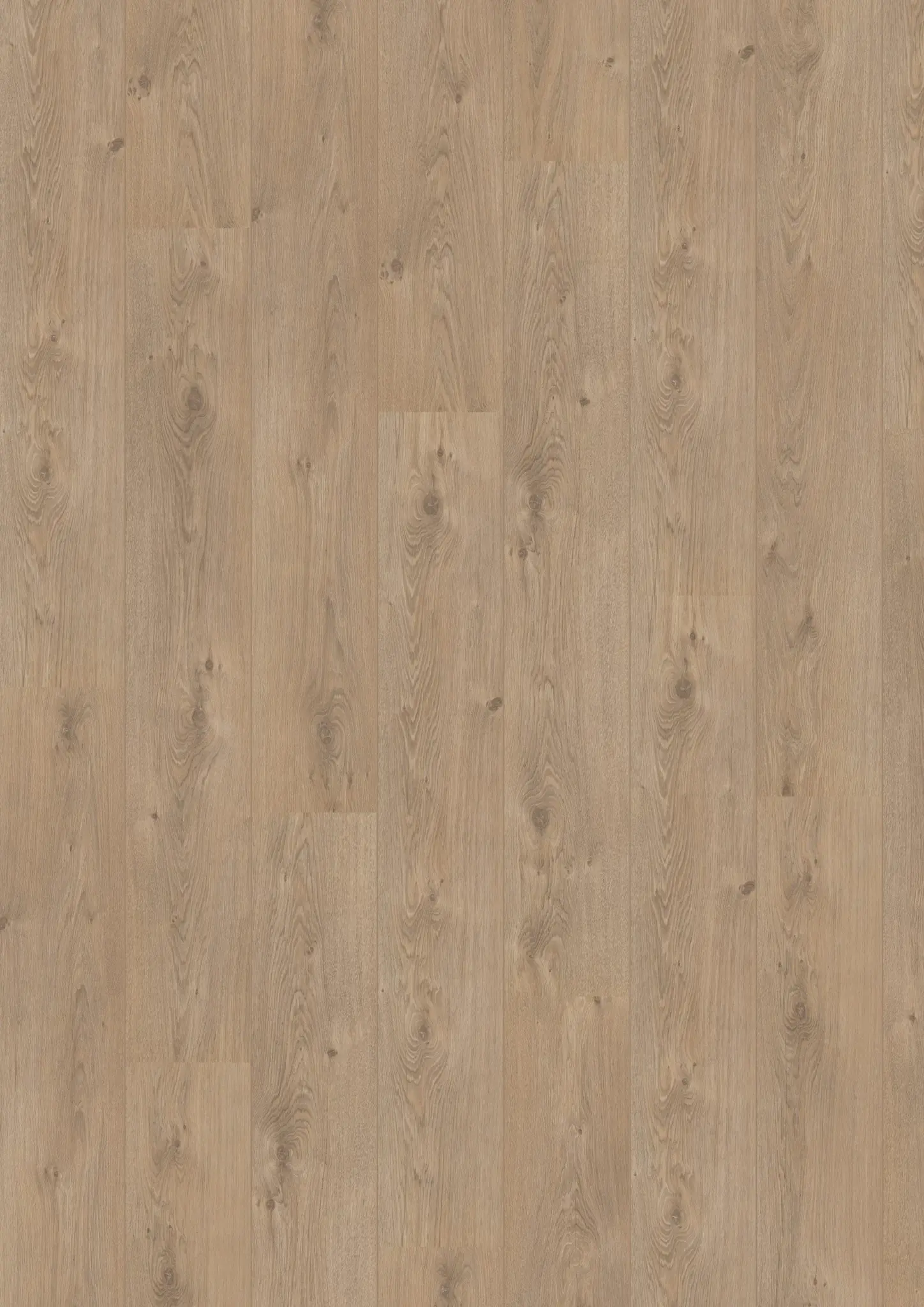 Royal V2 Marche 583 – Aquaprotect