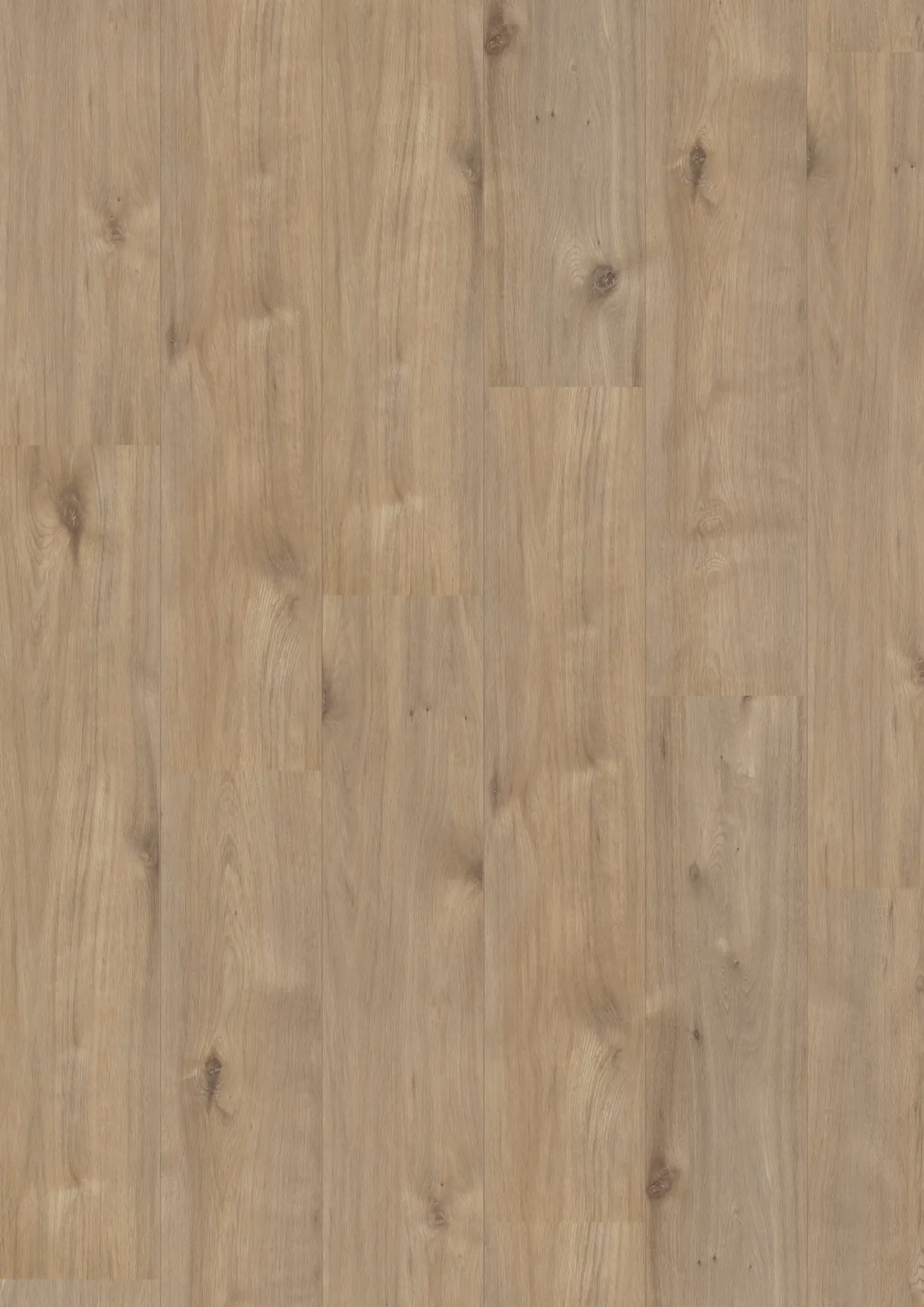 Royal XL V2 Holterberg 969 – Aquaprotect