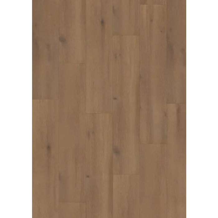 Elite XL V4 Waal 6079 – Aquaprotect