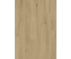 Elite XL V4 Zaan 6084 – Aquaprotect