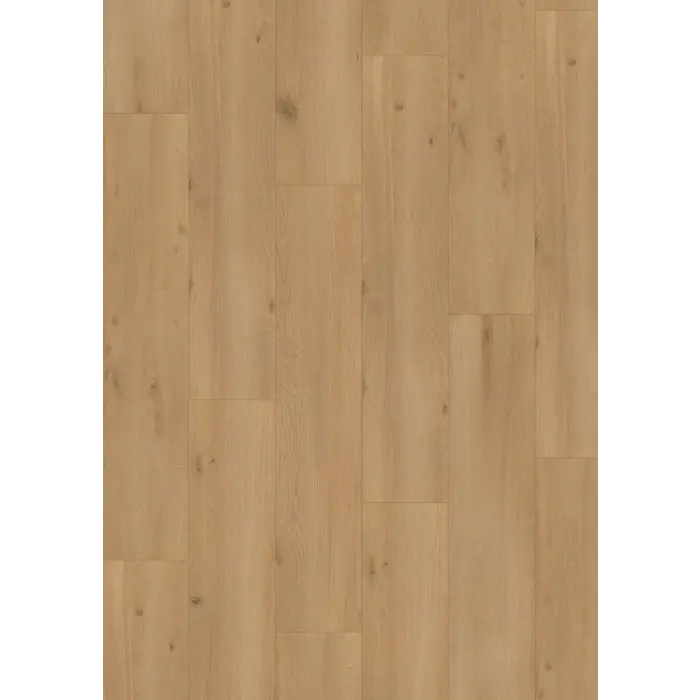 Elite XL V4 Vecht 6080 – Aquaprotect