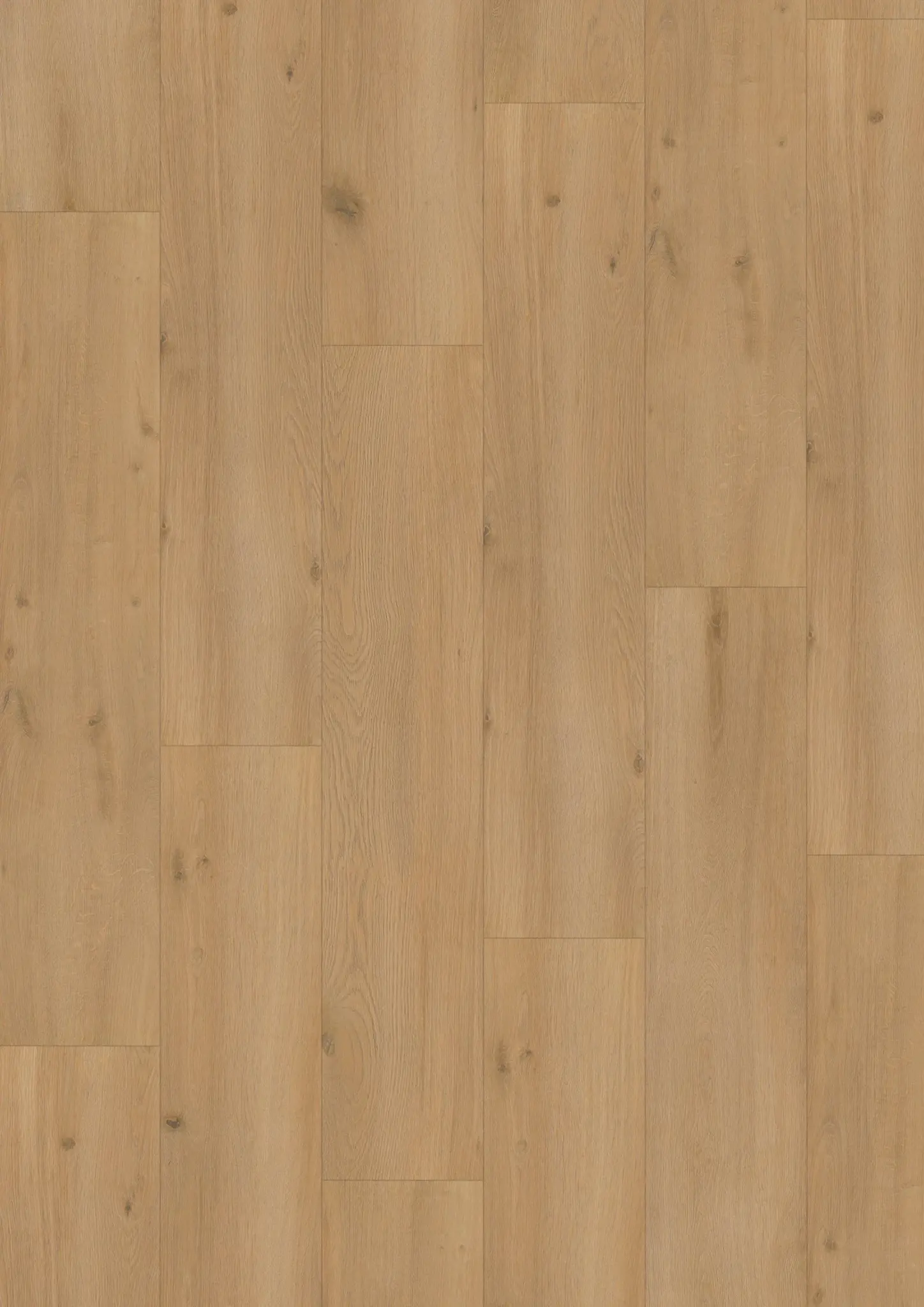 Elite XL V4 Vecht 6080 – Aquaprotect