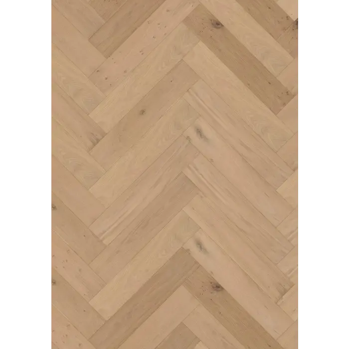 Metropole Madrid Visgraat XL Invisible Geolied