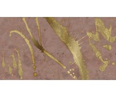 Fotobehang Splash effect