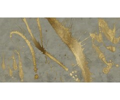 Fotobehang Splash effect