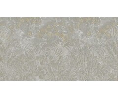 Fotobehang Fossilized