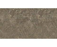 Fotobehang Fossilized