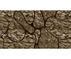 Fotobehang A line in the sand