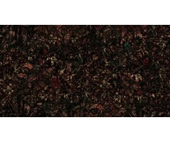 Fotobehang El dorado