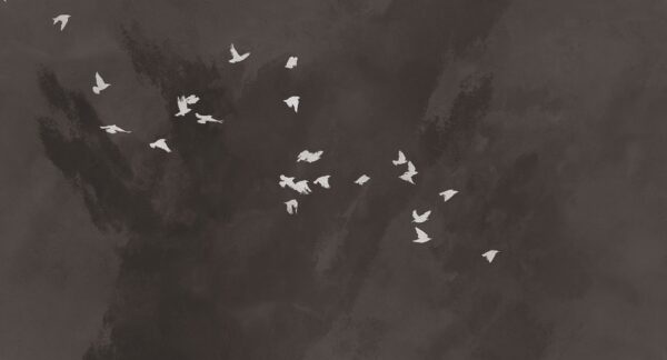 Fotobehang Cherry flight