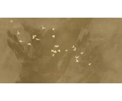 Fotobehang Cherry flight