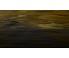 Fotobehang In the sun