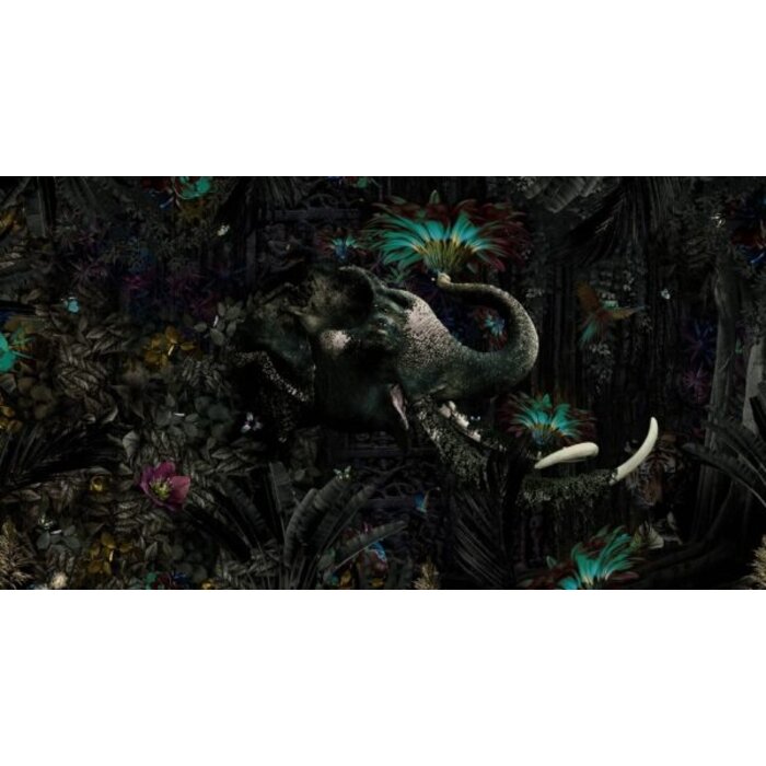 Fotobehang Mumba Kanda