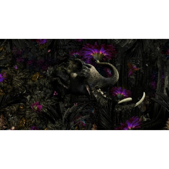 Fotobehang Mumba Kanda