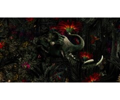 Fotobehang Mumba Kanda