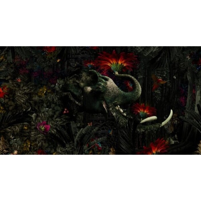 Fotobehang Mumba Kanda