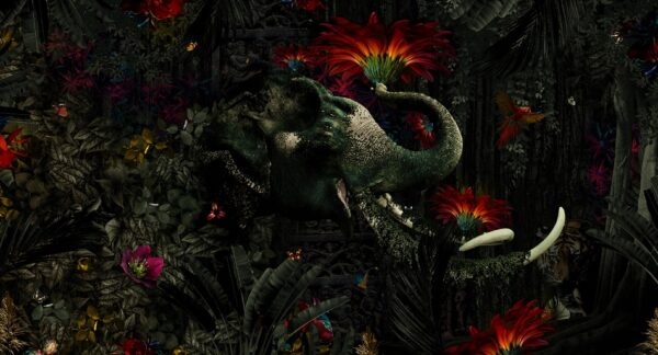 Fotobehang Mumba Kanda