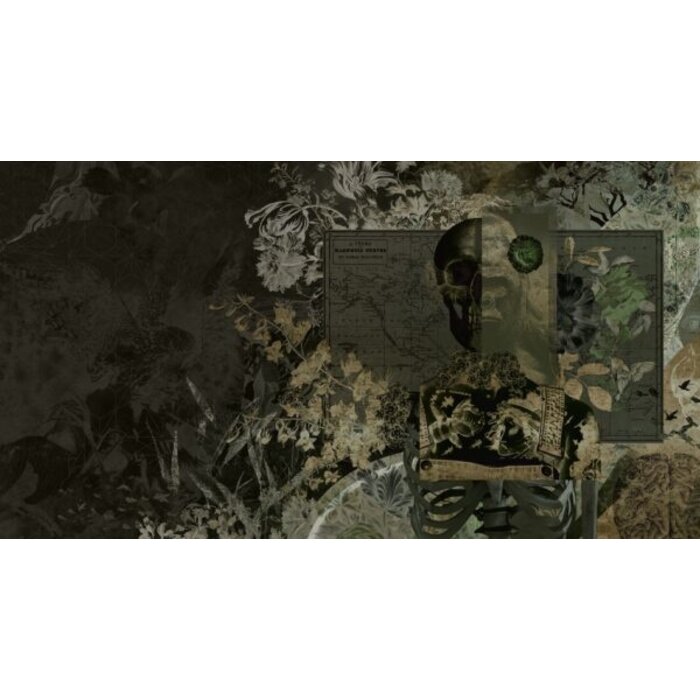 Fotobehang Skull Candy