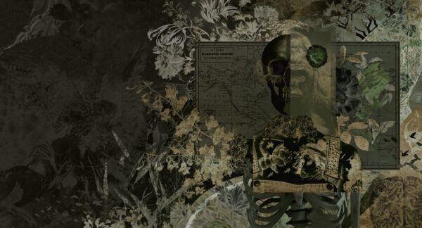 Fotobehang Skull Candy