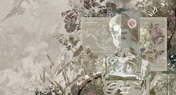 Fotobehang Skull Candy