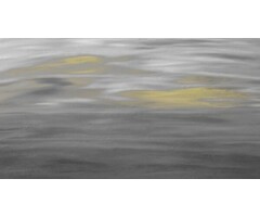 Fotobehang In the sun