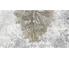 Fotobehang Expansion theory