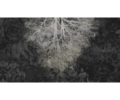 Fotobehang Expansion theory