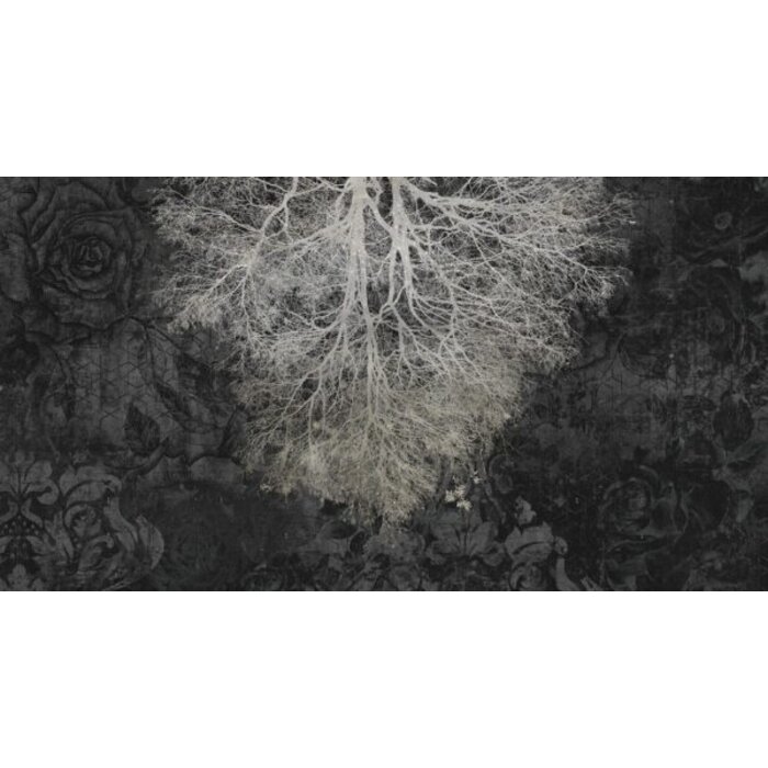 Fotobehang Expansion theory