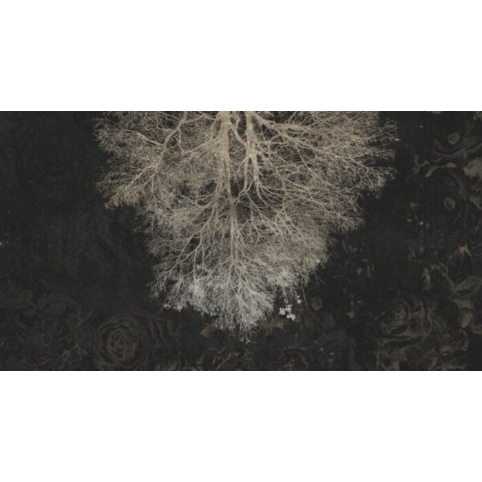 Fotobehang Expansion theory