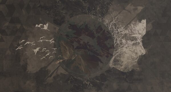 Fotobehang New divide