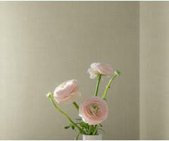 Midolin - Chablis Beige