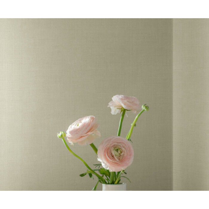 Midolin - Chablis Beige