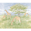 Cute Walls - Giraffes 212x280cm